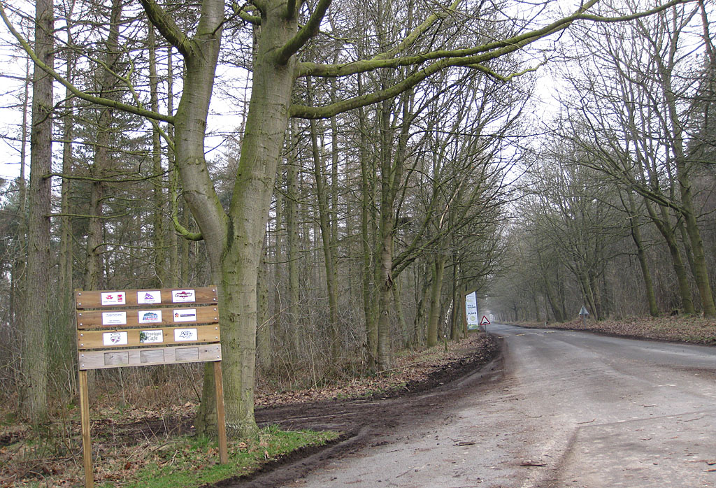 Dalby Forest